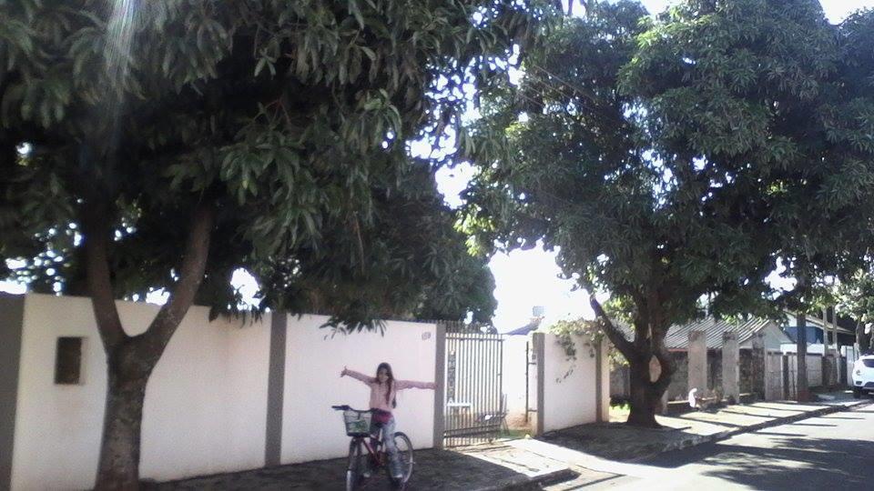 Aconchego Lar Cama E Cafe Panzió Foz do Iguaçu Kültér fotó