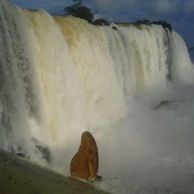 Aconchego Lar Cama E Cafe Panzió Foz do Iguaçu Kültér fotó
